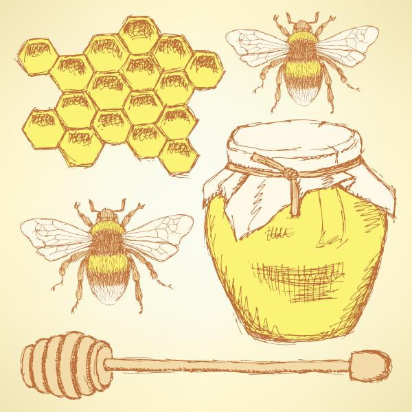 Beekeeping Workshop