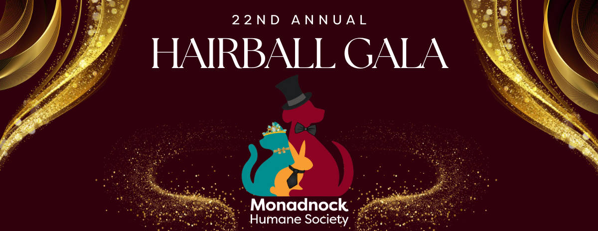 Hairball Gala 2024- Get Tickets Now!