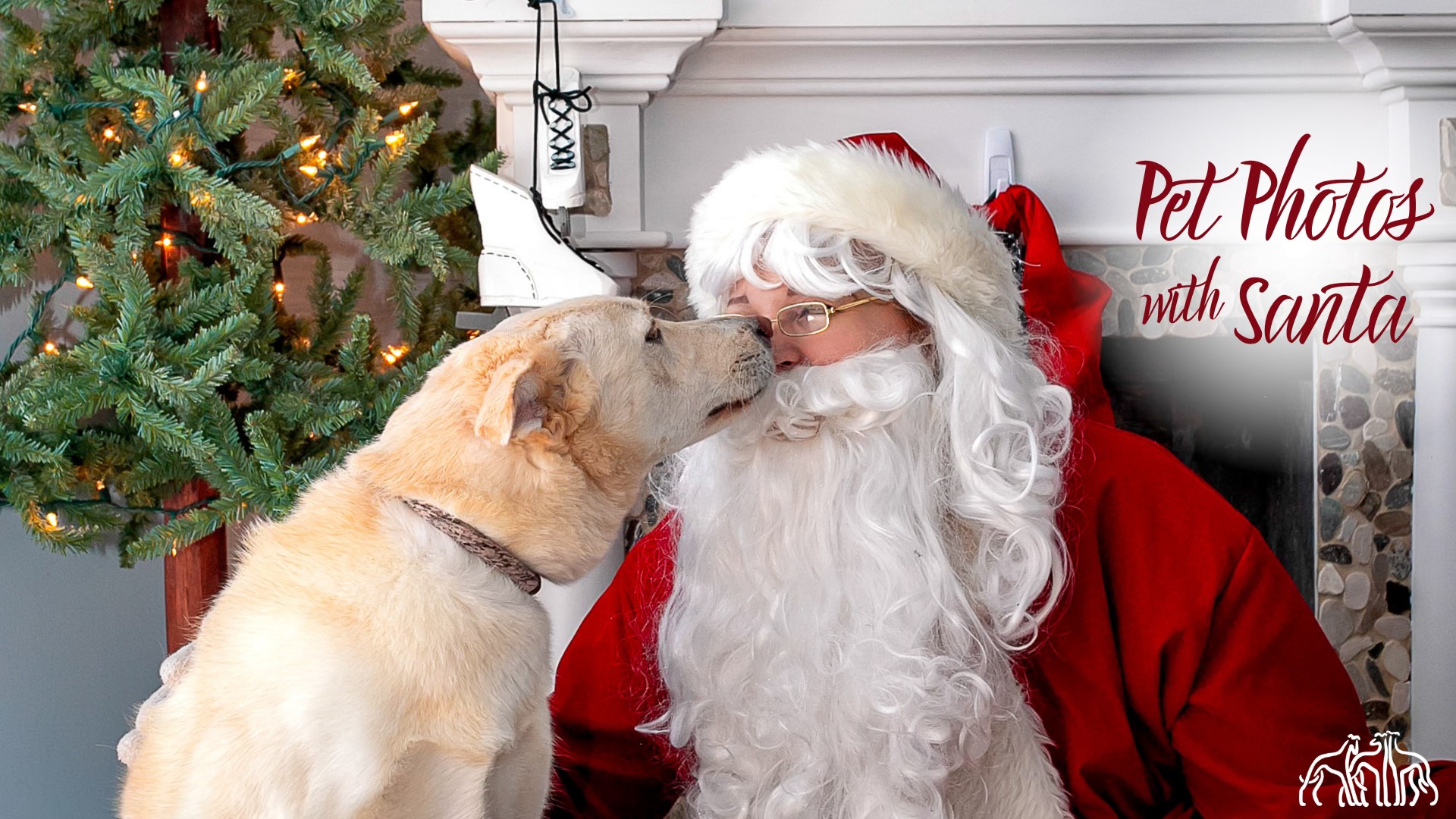 Pet Photos with Santa